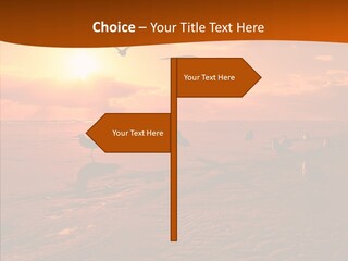 Beach Color Golden PowerPoint Template