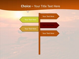 Beach Color Golden PowerPoint Template