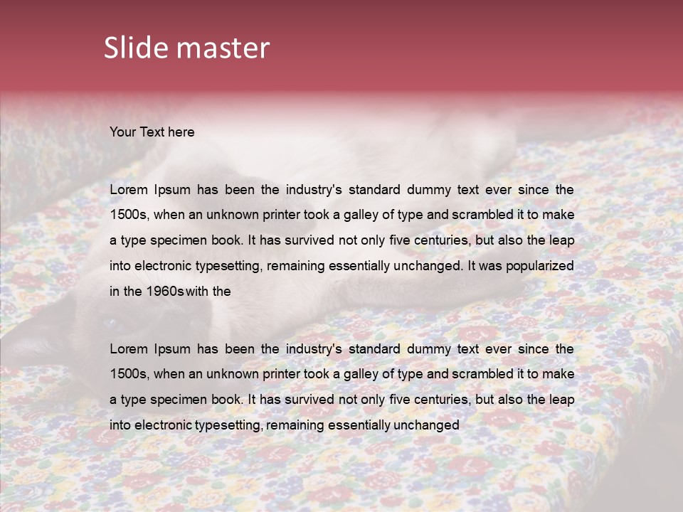 Pet Breed Blue PowerPoint Template