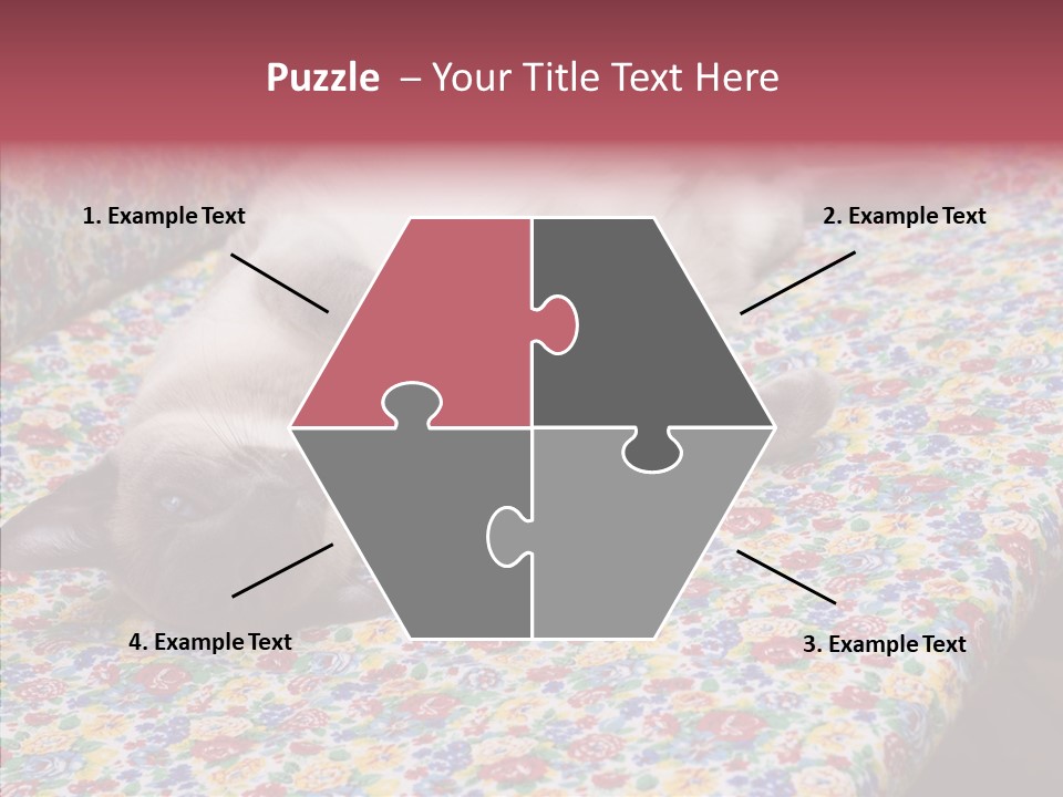 Pet Breed Blue PowerPoint Template