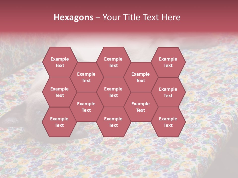 Pet Breed Blue PowerPoint Template