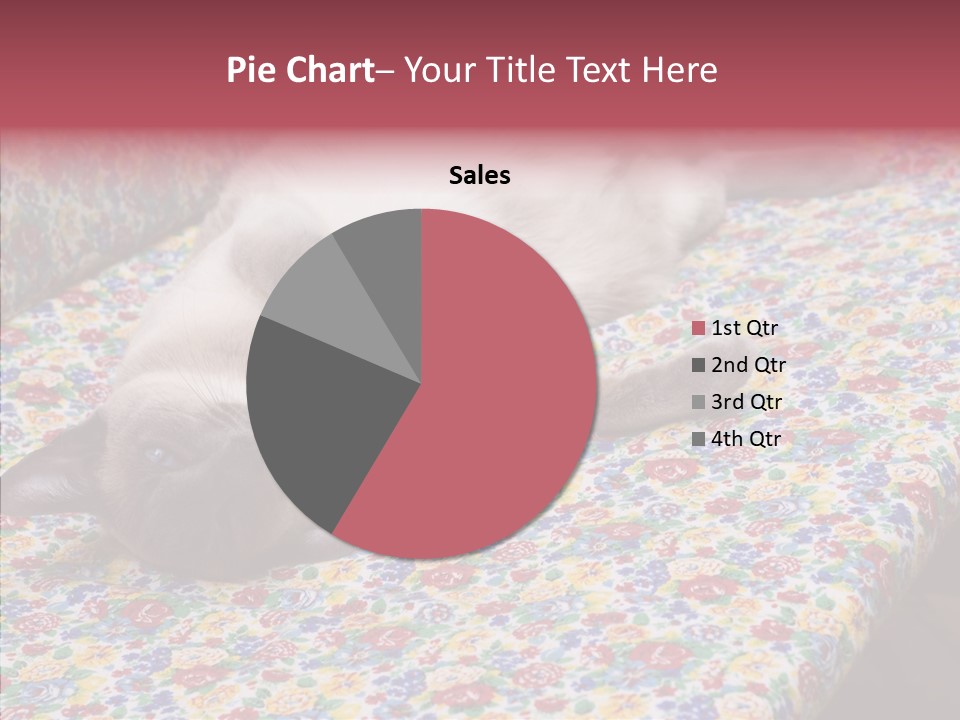 Pet Breed Blue PowerPoint Template