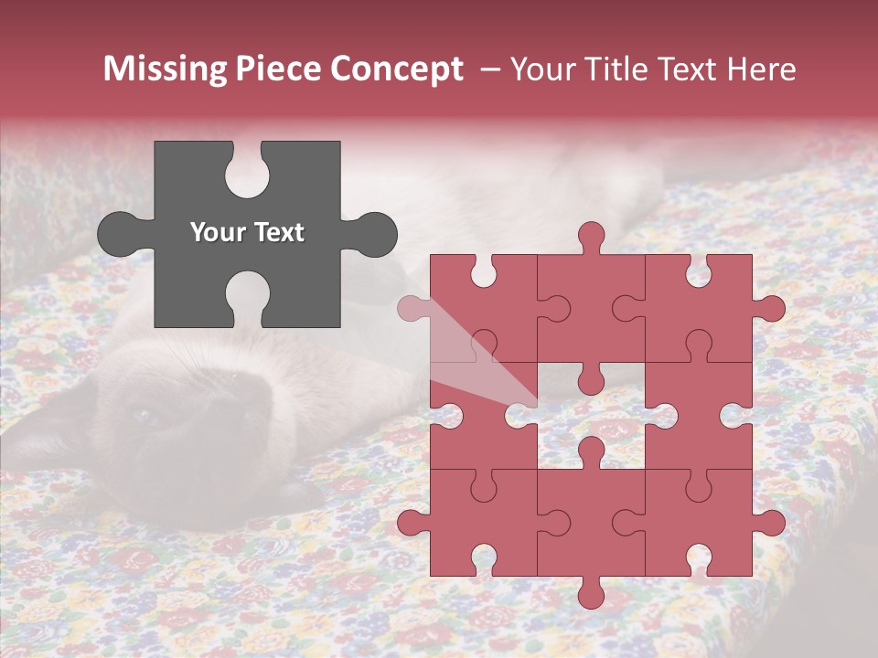 Pet Breed Blue PowerPoint Template