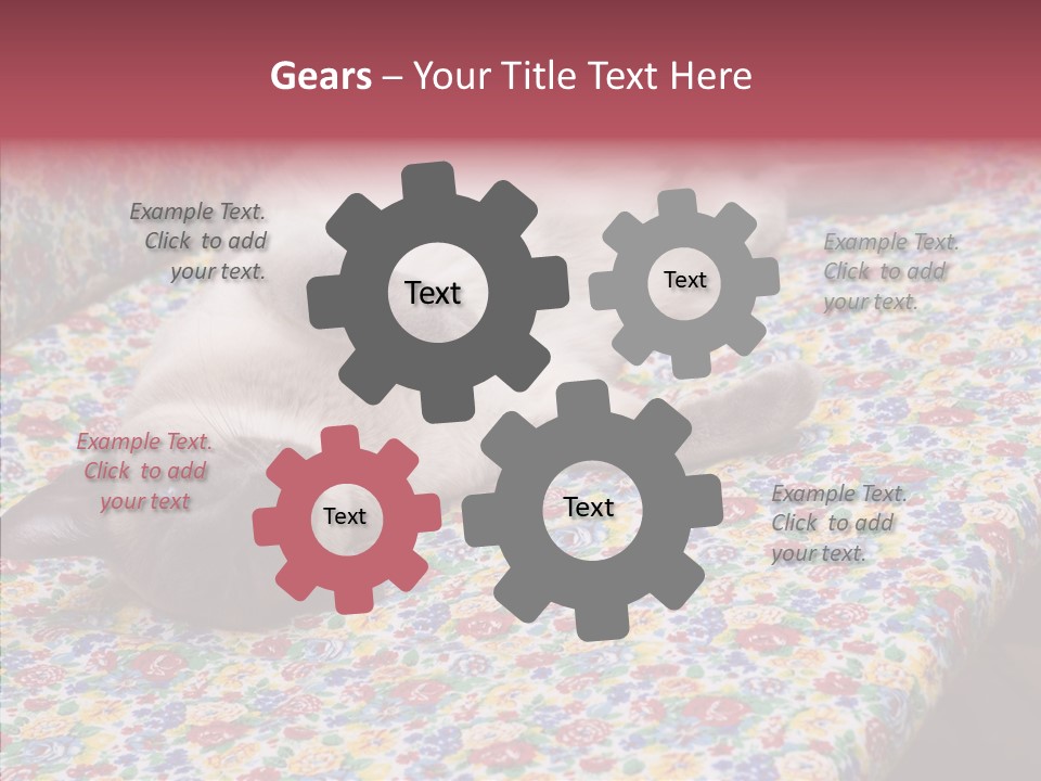 Pet Breed Blue PowerPoint Template