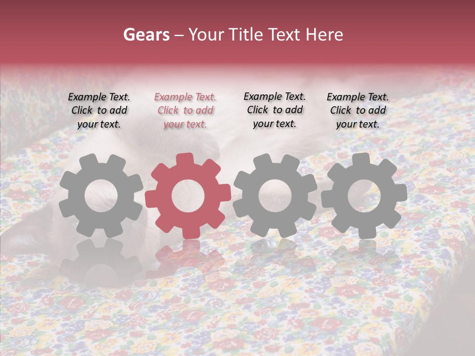 Pet Breed Blue PowerPoint Template