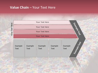 Pet Breed Blue PowerPoint Template