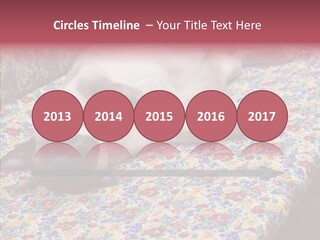 Pet Breed Blue PowerPoint Template