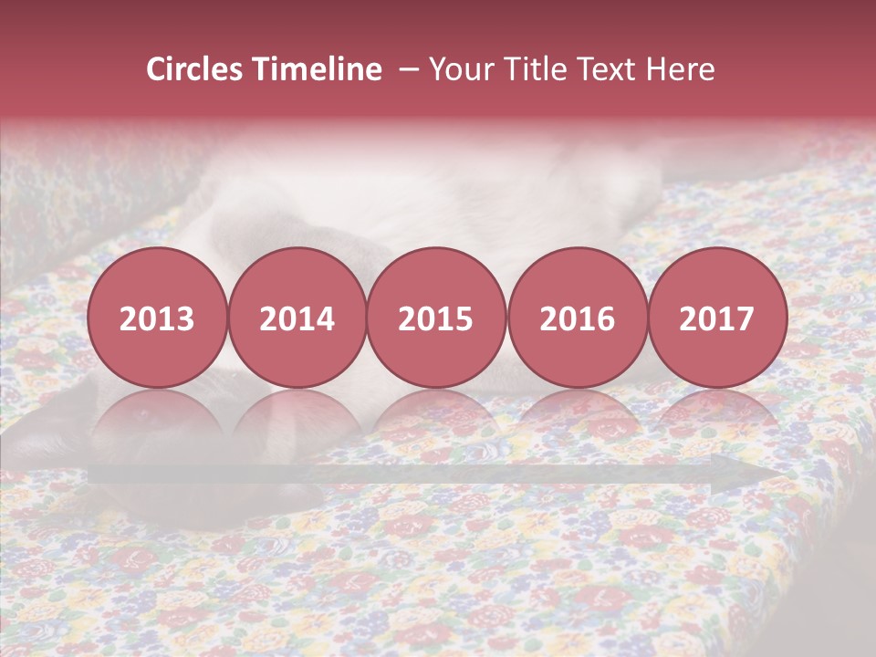 Pet Breed Blue PowerPoint Template