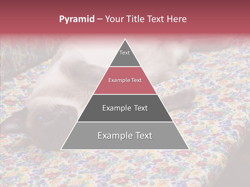 Pet Breed Blue PowerPoint Template