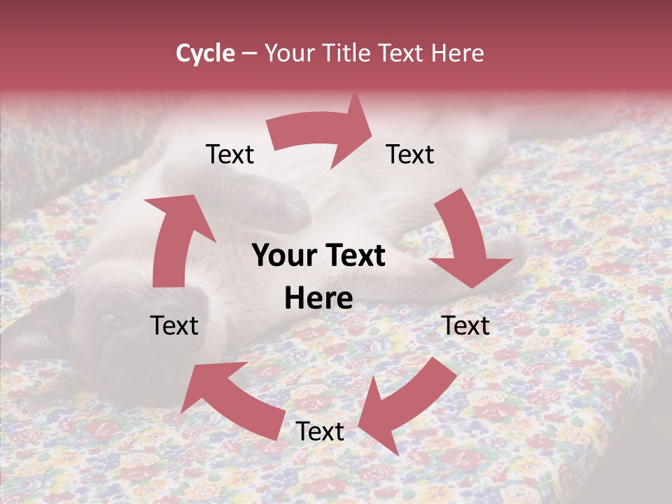 Pet Breed Blue PowerPoint Template