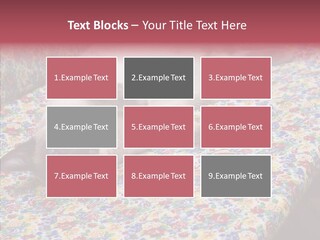 Pet Breed Blue PowerPoint Template