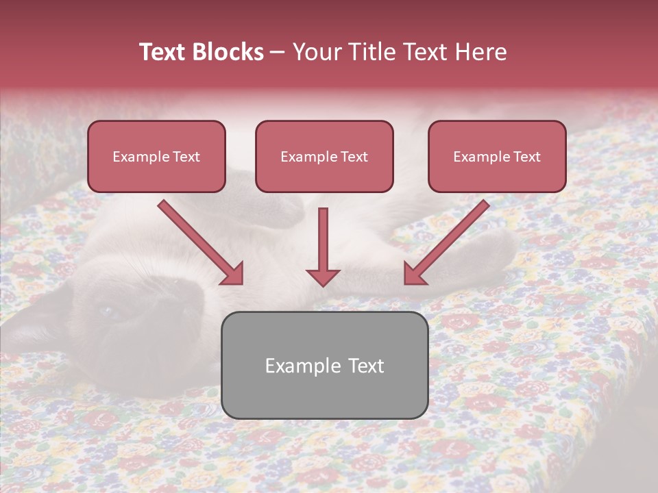 Pet Breed Blue PowerPoint Template