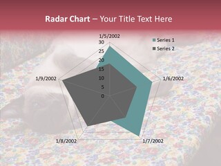 Pet Breed Blue PowerPoint Template