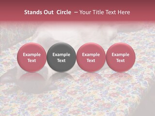 Pet Breed Blue PowerPoint Template