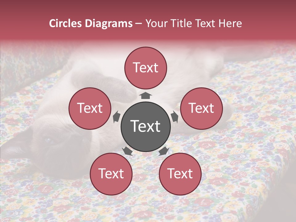 Pet Breed Blue PowerPoint Template