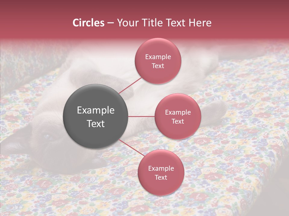 Pet Breed Blue PowerPoint Template