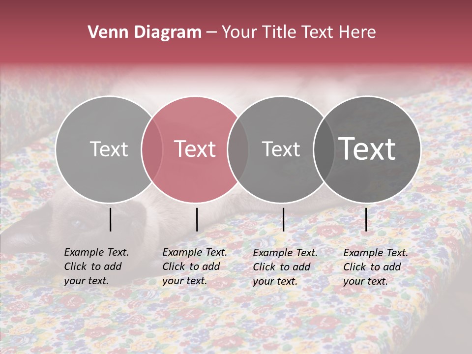 Pet Breed Blue PowerPoint Template