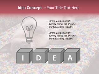 Pet Breed Blue PowerPoint Template