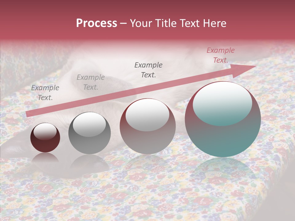 Pet Breed Blue PowerPoint Template