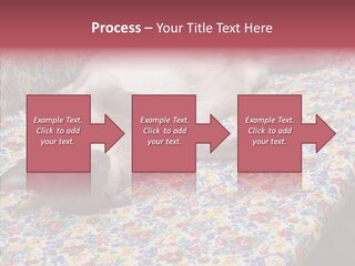 Pet Breed Blue PowerPoint Template