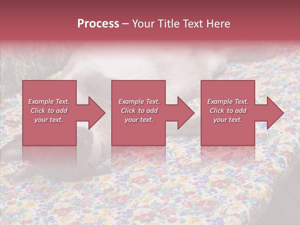 Pet Breed Blue PowerPoint Template