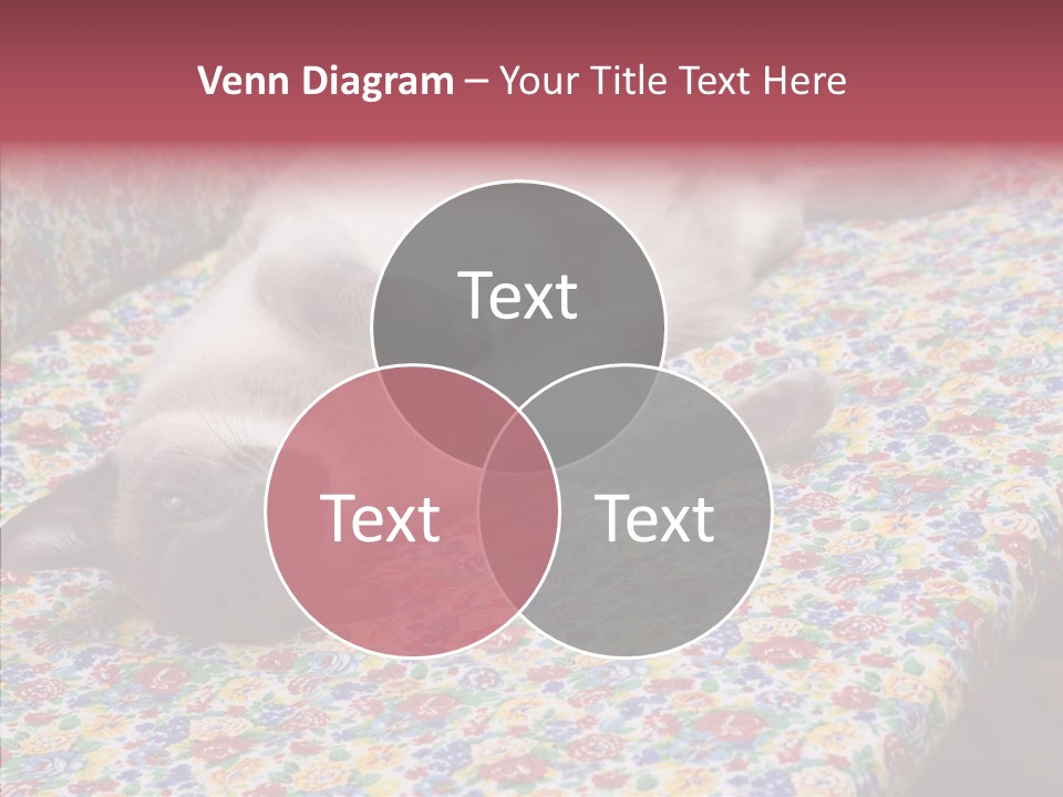 Pet Breed Blue PowerPoint Template