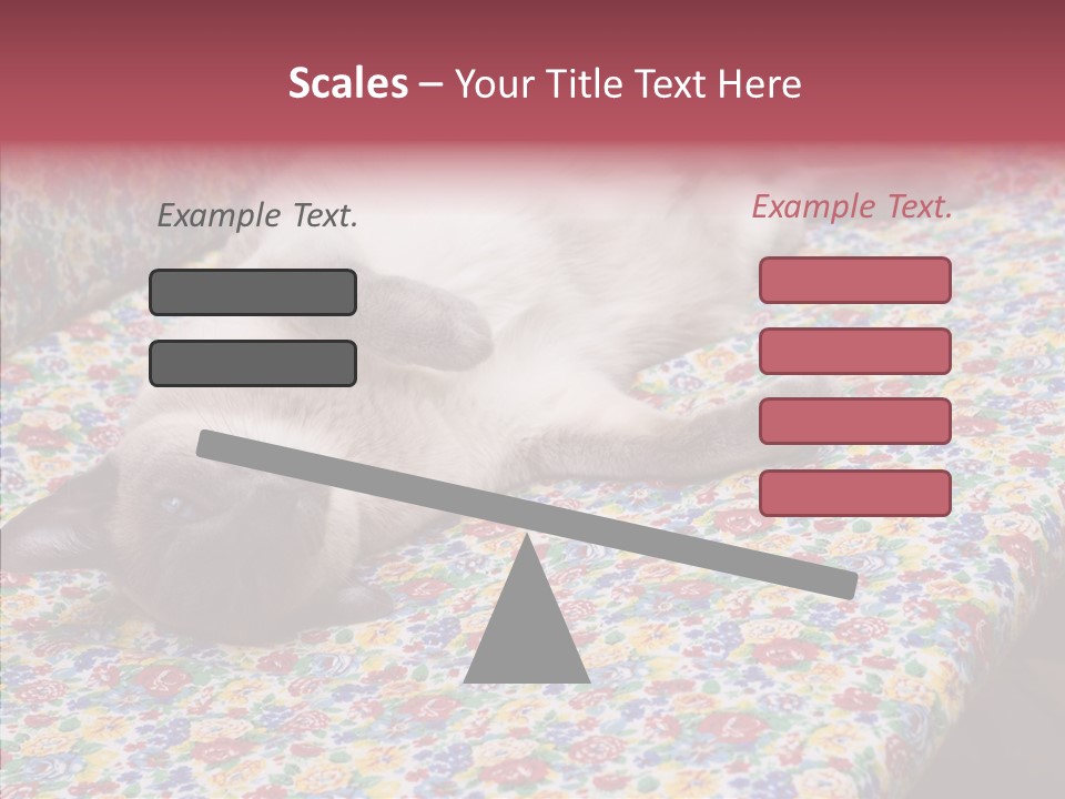 Pet Breed Blue PowerPoint Template