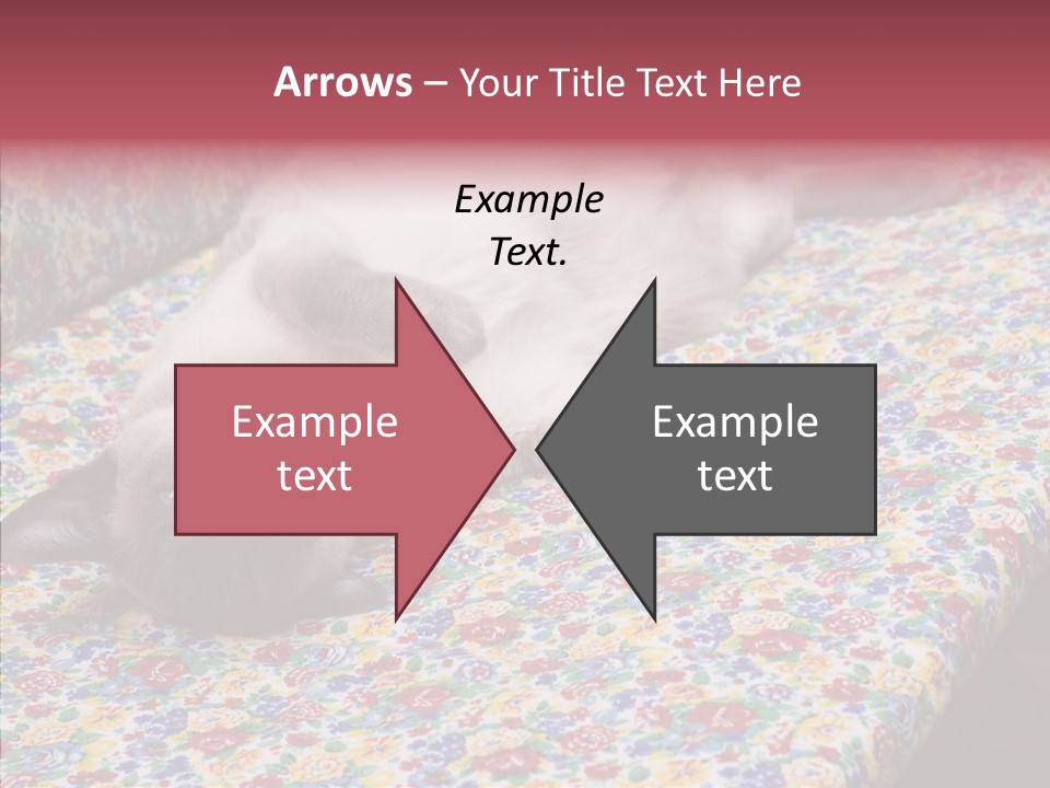 Pet Breed Blue PowerPoint Template