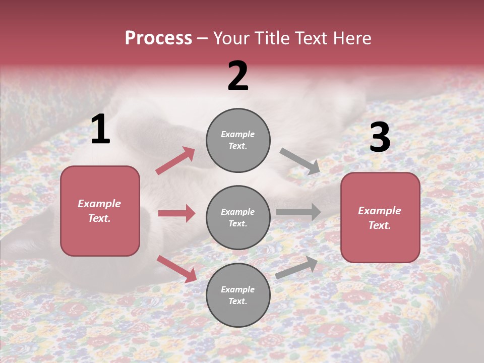 Pet Breed Blue PowerPoint Template