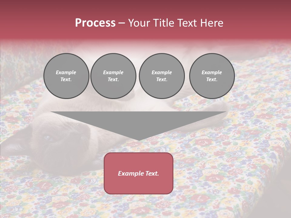 Pet Breed Blue PowerPoint Template