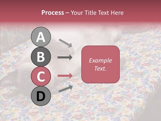 Pet Breed Blue PowerPoint Template