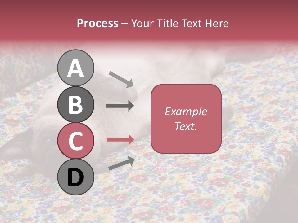 Pet Breed Blue PowerPoint Template