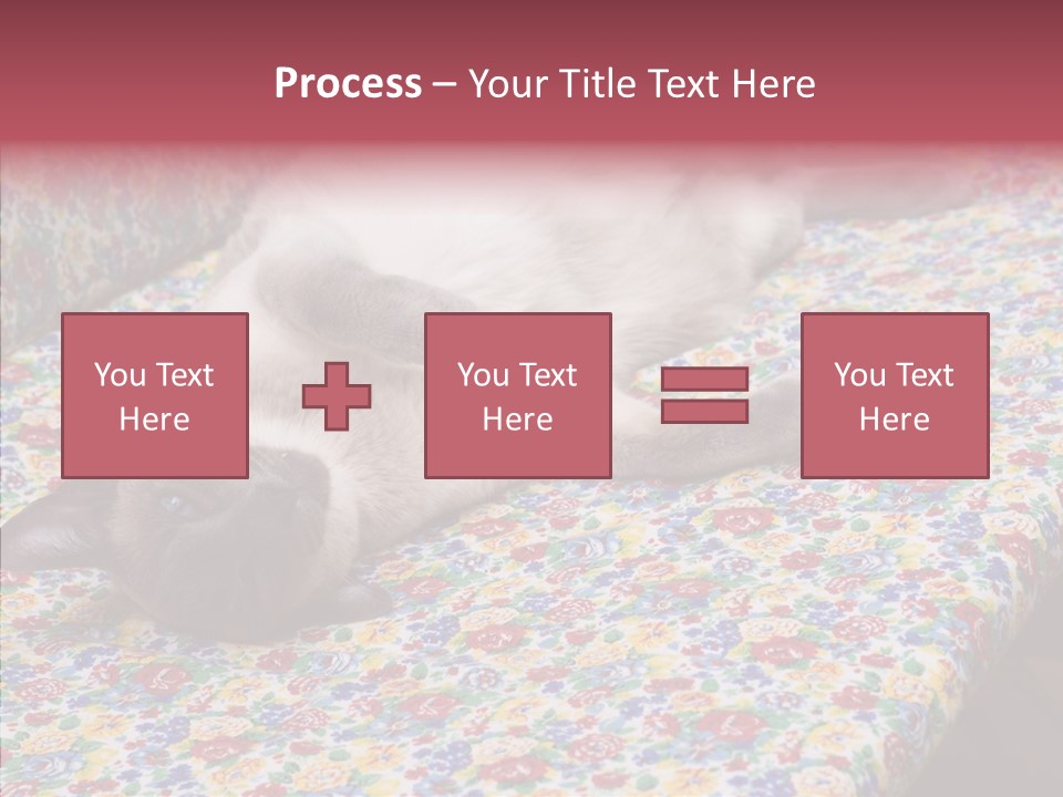 Pet Breed Blue PowerPoint Template