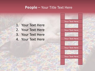 Pet Breed Blue PowerPoint Template