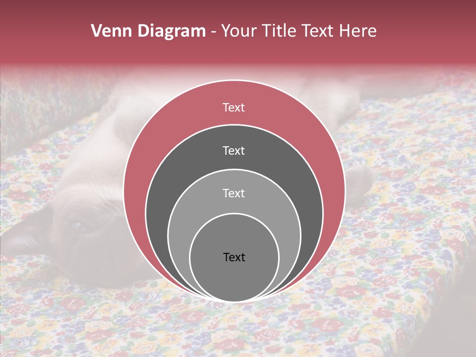 Pet Breed Blue PowerPoint Template