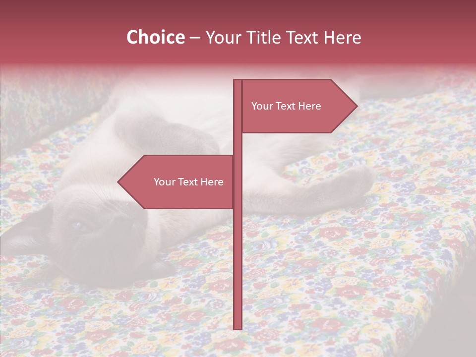 Pet Breed Blue PowerPoint Template