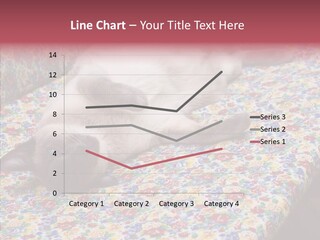 Pet Breed Blue PowerPoint Template