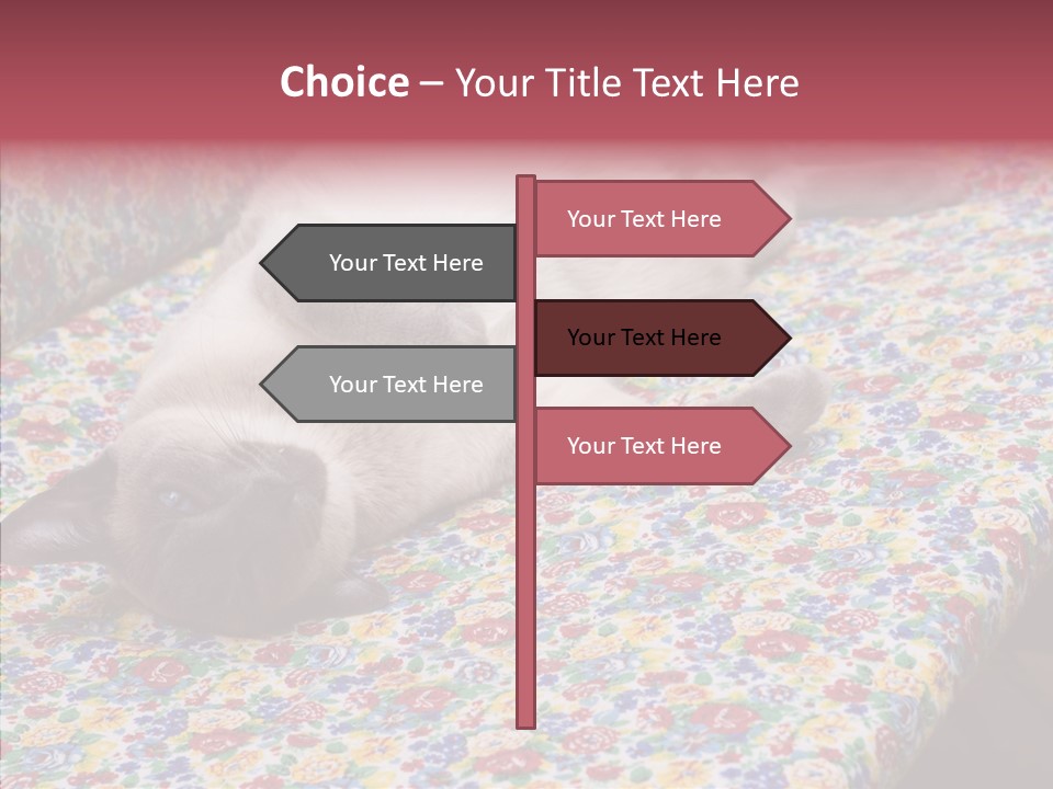 Pet Breed Blue PowerPoint Template