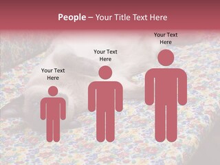 Pet Breed Blue PowerPoint Template