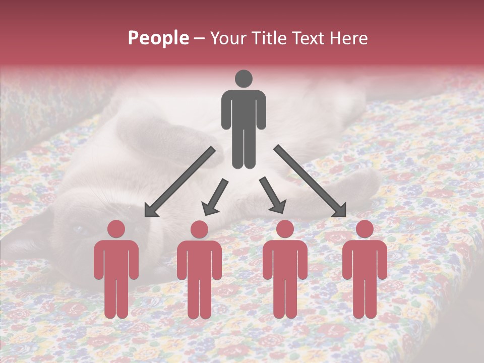 Pet Breed Blue PowerPoint Template