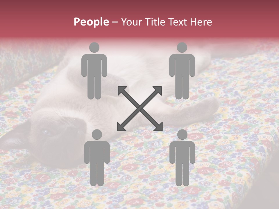 Pet Breed Blue PowerPoint Template