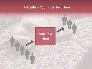 Pet Breed Blue PowerPoint Template