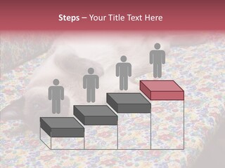 Pet Breed Blue PowerPoint Template