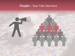 Pet Breed Blue PowerPoint Template