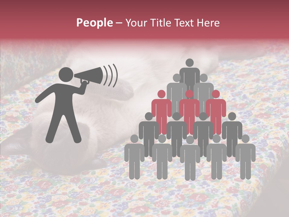 Pet Breed Blue PowerPoint Template