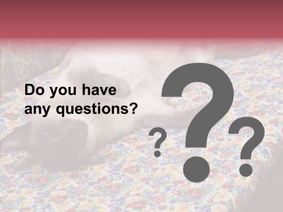 Pet Breed Blue PowerPoint Template