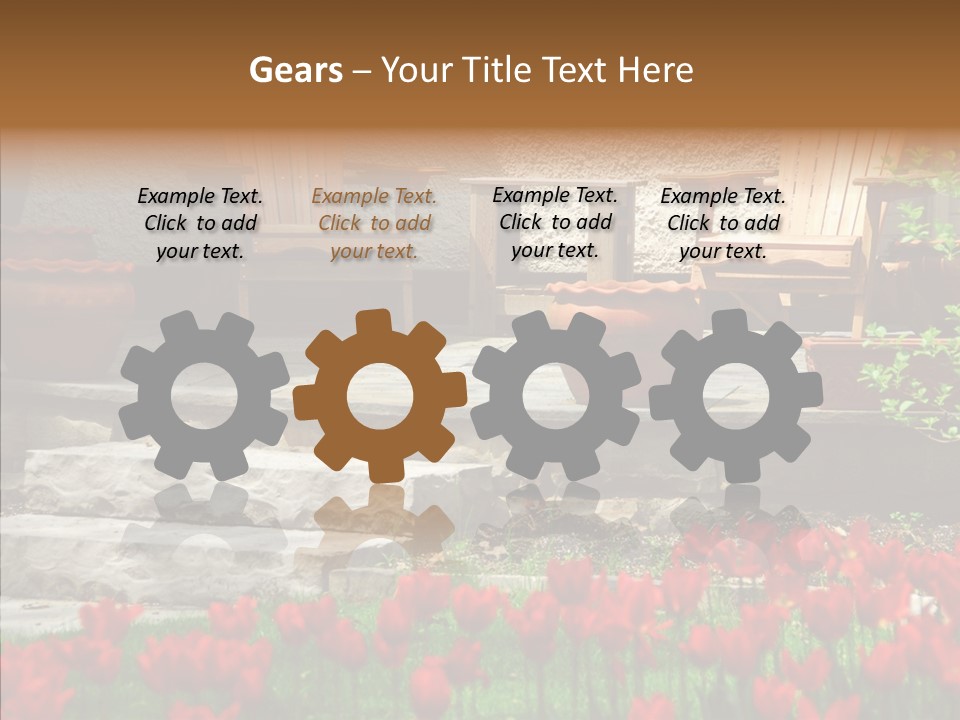 Wooden Front Sunny PowerPoint Template