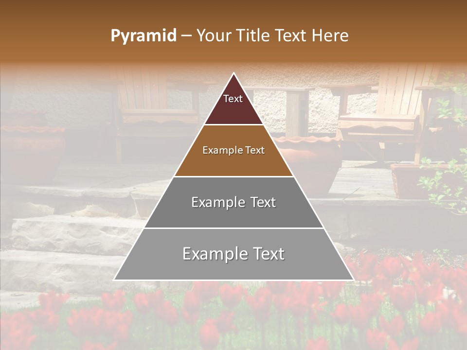 Wooden Front Sunny PowerPoint Template