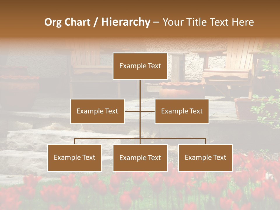 Wooden Front Sunny PowerPoint Template