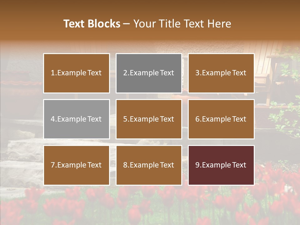 Wooden Front Sunny PowerPoint Template